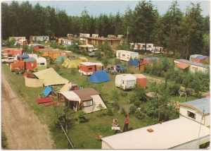 A27 Camping De Reehorst 7